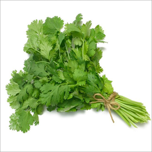 Parsley Hydrosol Age Group: Adults