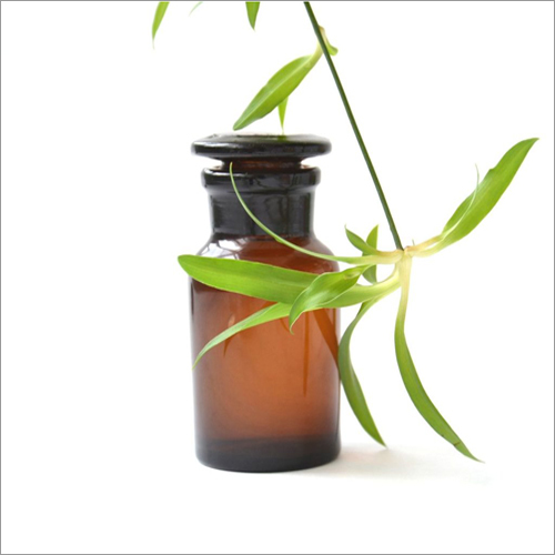 Petitgrain Hydrosol Age Group: Adults