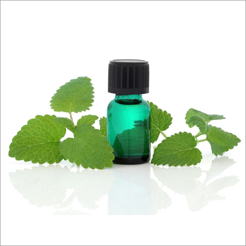 Melissa Oil Age Group: Adults