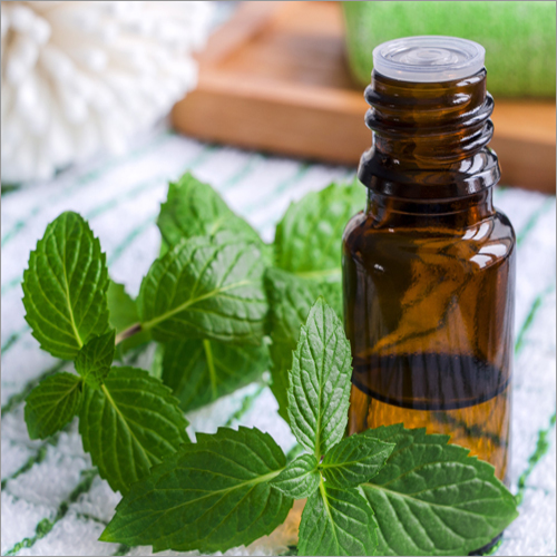 Mentha Oil Purity: 98%