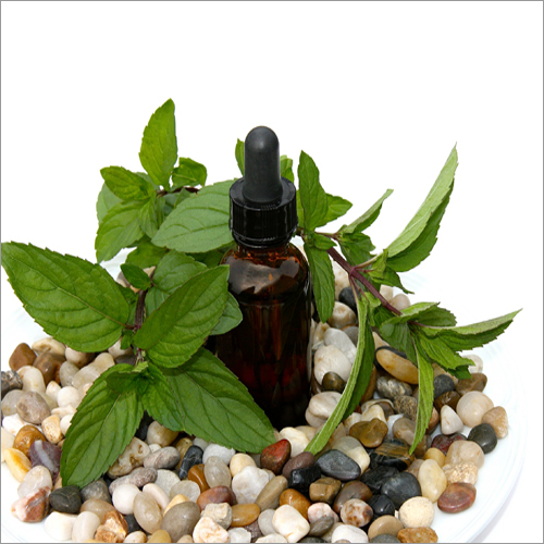 Pudina Oil Green Age Group: Adults