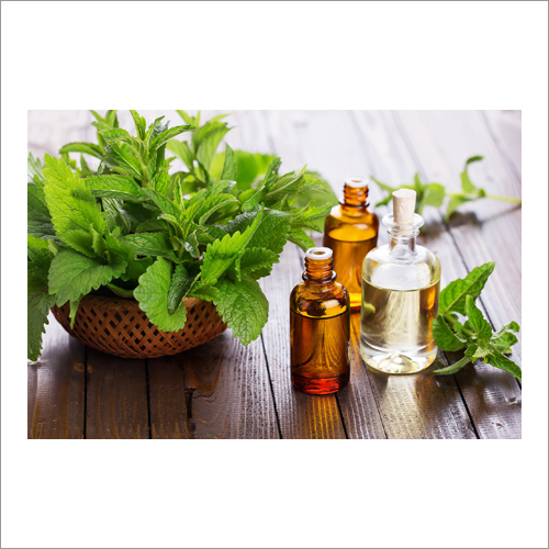 Spearmint Oil Age Group: Adults