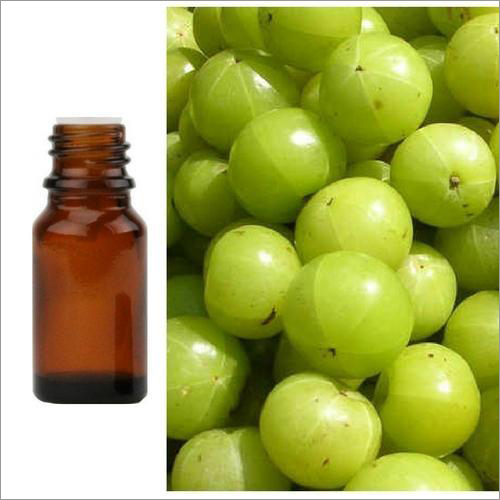 Amla Oil - 99% Pure Liquid | Nourishing, Moisturizing, Anti-aging Formula For Hair And Skin, No Harmful Chemicals, Soothing Aroma, Ayurvedic Trusted Quality, Enhances Hair Growth And Glow, Long-lasting Benefits