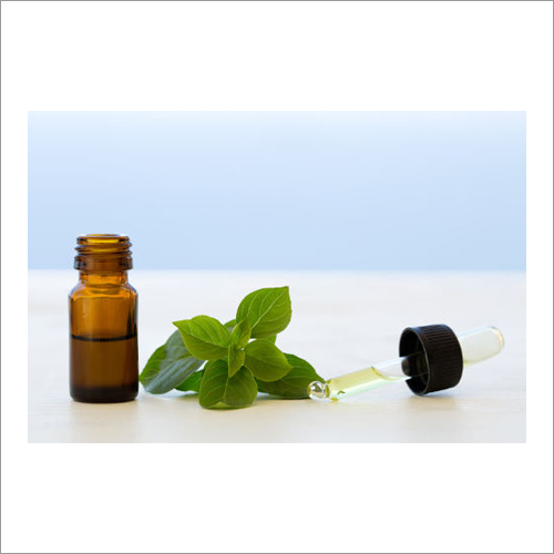 Basil Oil - 99% Pure Extract From Premium Basil Leaves | Supports Digestion, Skin Nourishment, And Relieves Respiratory Issues