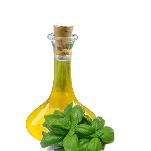 Basil Oil - 99% Pure Extract From Premium Basil Leaves | Supports Digestion, Skin Nourishment, And Relieves Respiratory Issues