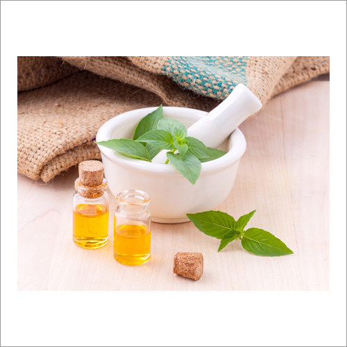 Basil Oil - 99% Pure Extract From Premium Basil Leaves | Supports Digestion, Skin Nourishment, And Relieves Respiratory Issues