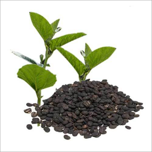 Bawchi Oil Age Group: Adults