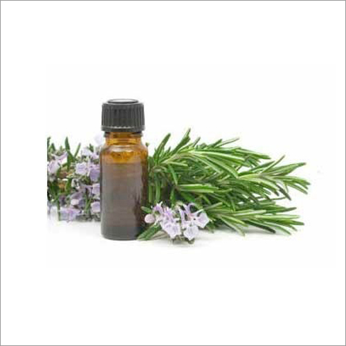 Cajeput Oil Age Group: Adults