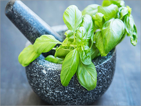 कार्बनिक पवित्र तुलसी का तेल