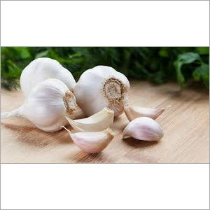 Garlic Bulb
