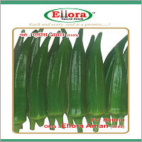 Lady Finger Seed