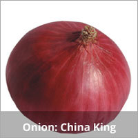 Hybrid Onion Seeds