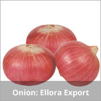 Red Onion Seeds