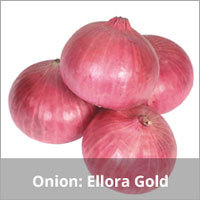 Yellow Onion Seeds
