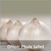 Onion Phule Safed Seeds
