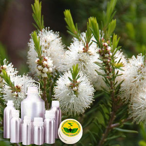 Tea Tree Oil - 100% Pure Melaleuca Alternifolia Extract | Natural Antiseptic, Antifungal, and Skin Soothing Properties