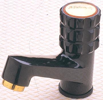 पिलर कॉक (रोवर का संग्रह)