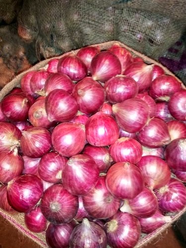 रेड ऑनियन