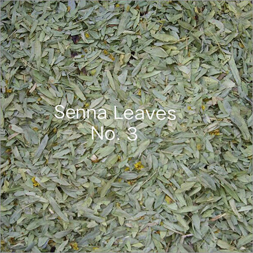 हर्बल सेनना पत्ते