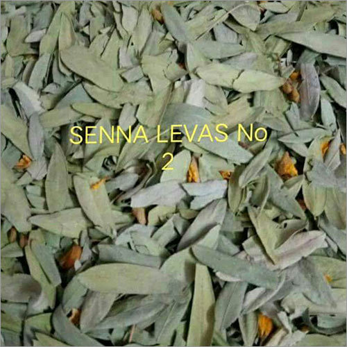 प्राकृतिक सिन्ना पत्ते