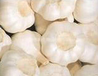 जमी हुई लहसुन