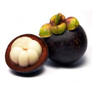 ताज़ा मैंगोस्टीन
