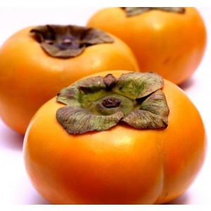 Fresh Ramphal