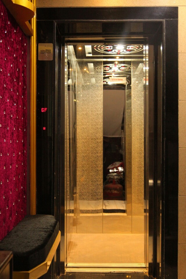 Customized Elevator