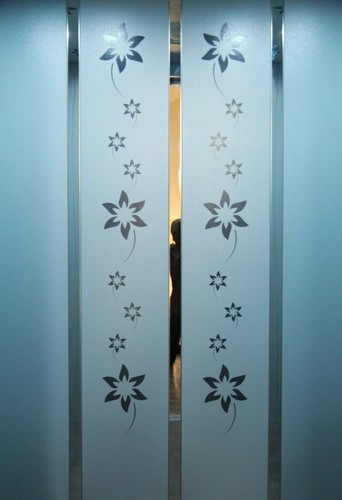 Ms केबिन लिफ्ट