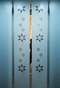 Ms केबिन लिफ्ट