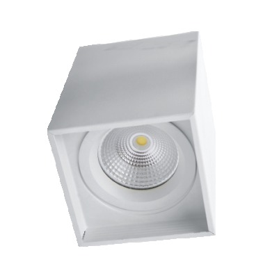 White Cob Square Surface Downlighter 30W