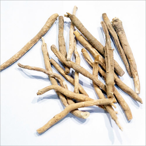 अश्वगंधा की जड़ें
