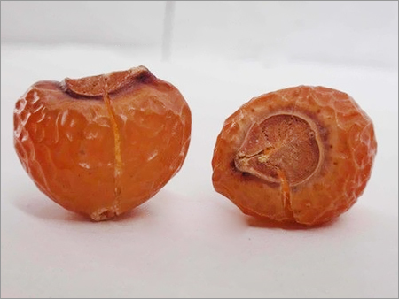 साबुन नट्स
