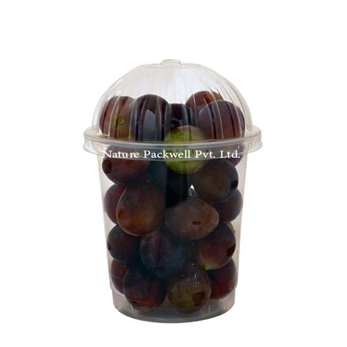 Clear Plastic Disposable Glass