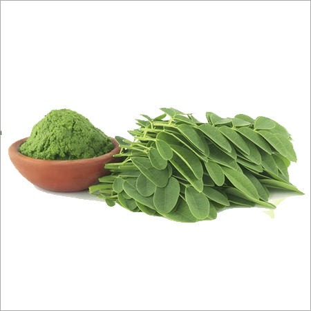 जैविक मोरिंगा पत्ते का पाउडर