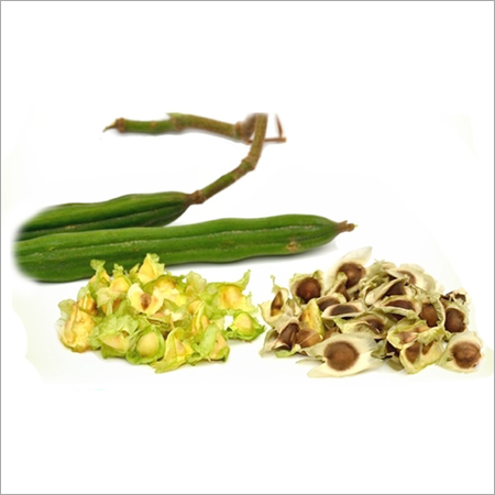 मेथी के बीज