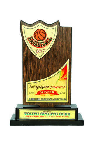 प्लास्टिक की लकड़ी का उपयोग: स्मारिका