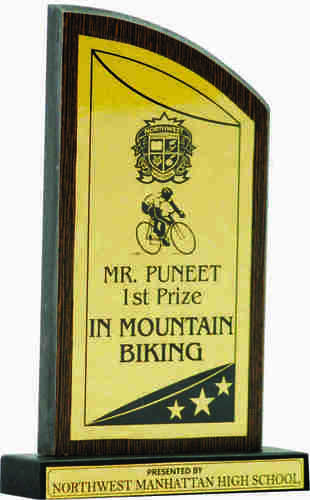 फोक आर्ट वुडन मेमेंटोस