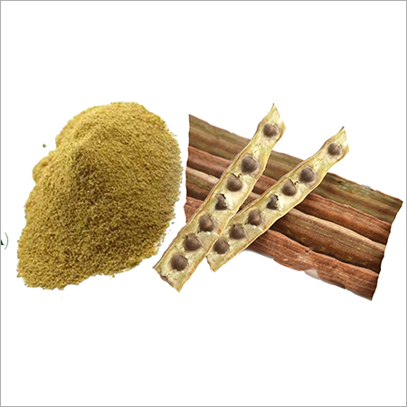 मोरिंगा फल पाउडर