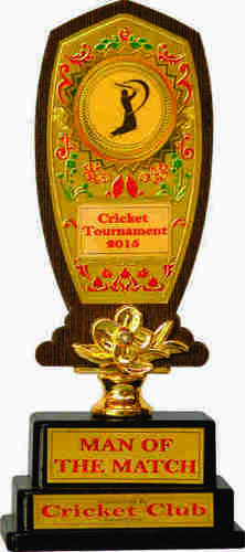 प्रतिस्पर्धी प्लास्टिक की लकड़ी