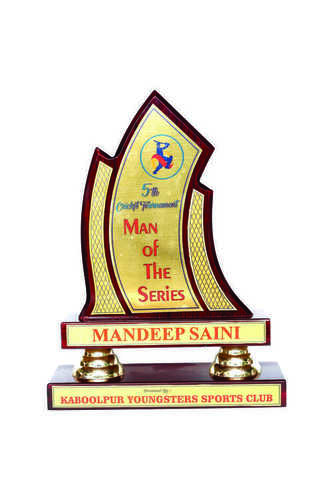 फोक आर्ट वुडन ट्रॉफी