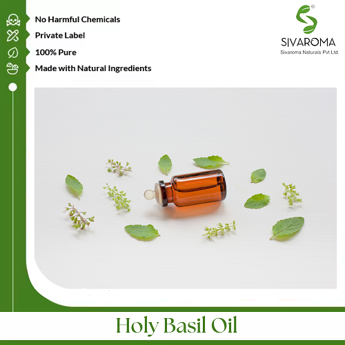 तुलसी, पवित्र तुलसी का तेल