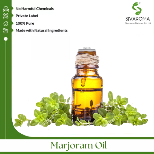 मीठा मरजोरम तेल