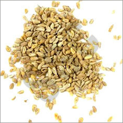 Ajwain Oil - Ingredients: Herbal Extract