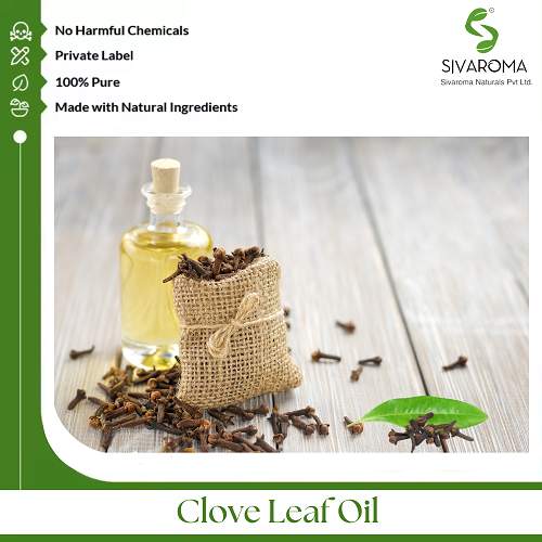Clove Leaf Oil - Pure Essential Oil Extract | Aromatic Wellness, Natural Antimicrobial Properties, Therapeutic Grade