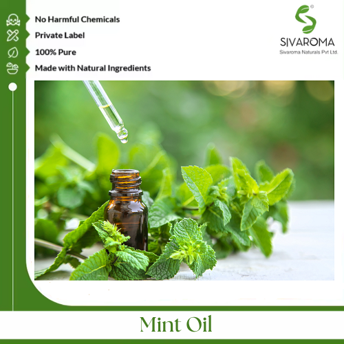Mint Oil - Pure Essential Oil, Clear to Pale Yellow Liquid, Strong Fresh Minty Aroma | 100% Purity, Cooling Effect, Versatile Applications in Pharmaceuticals and Personal Care