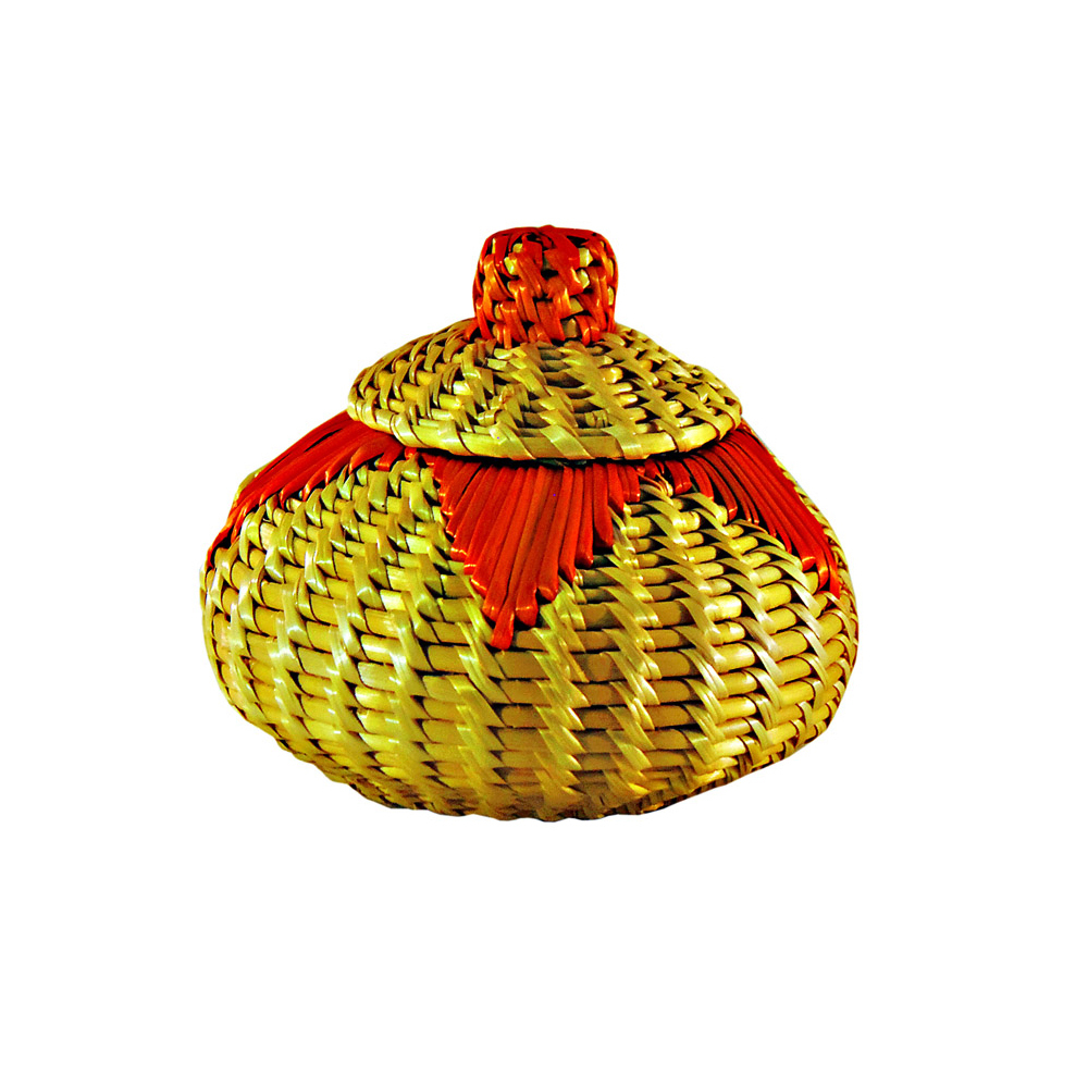 गोल्डन ग्रास स्मॉल पेड़ी