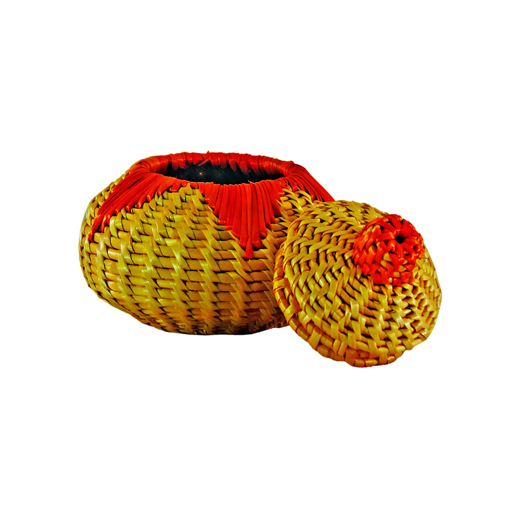 Golden Grass Small Pedi