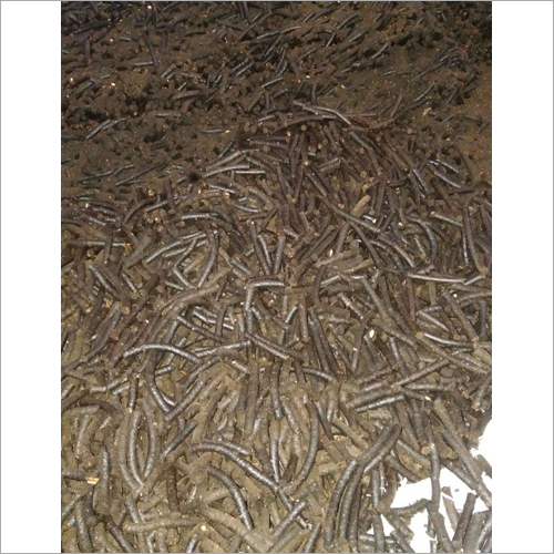 नीम पेलेट