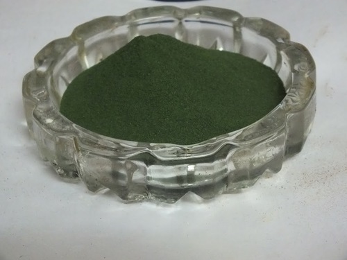 Organic Moringa Leaf Extract Powder